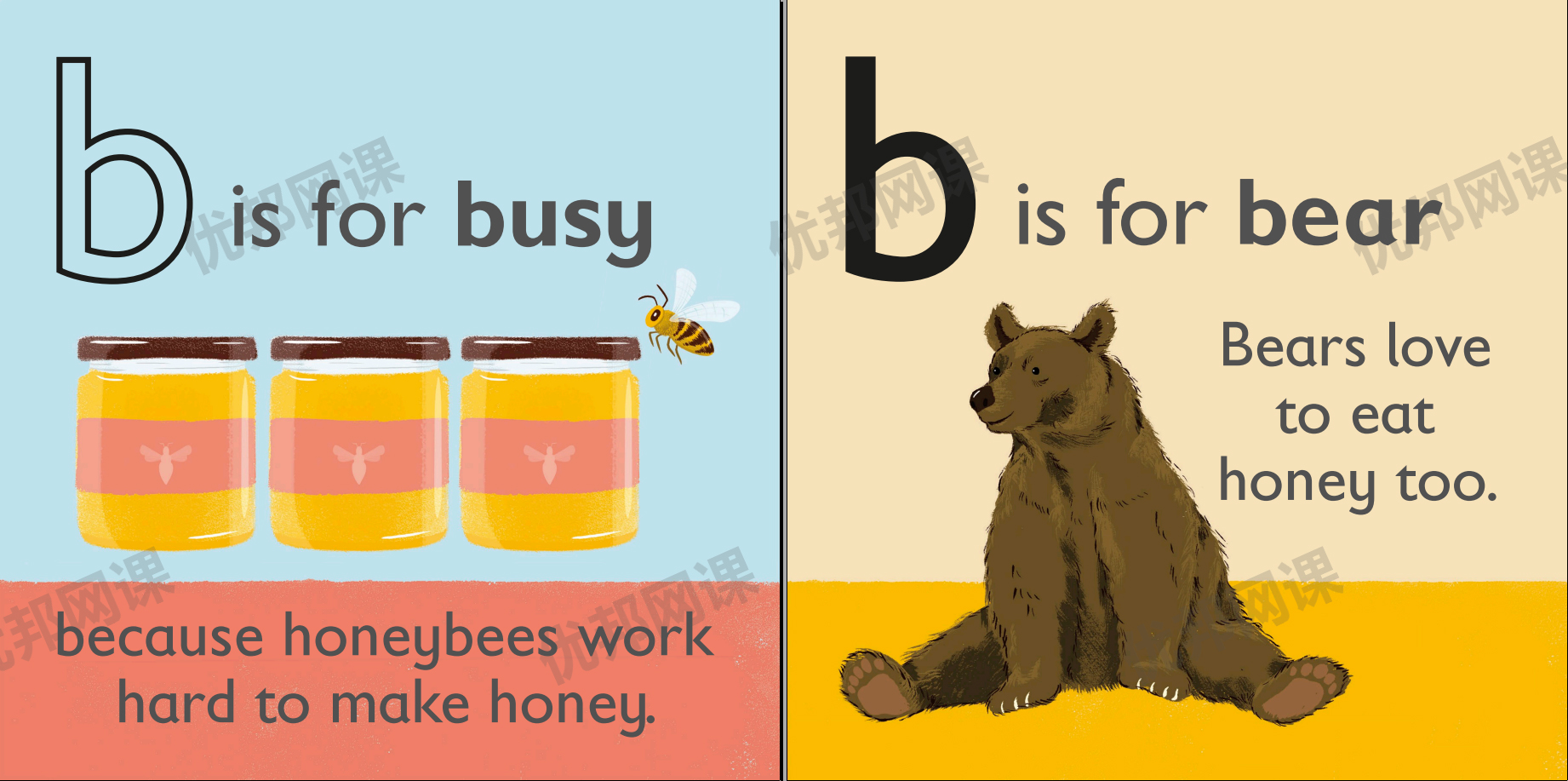 《DK动物字母认知》全26册启蒙英文绘本PDF