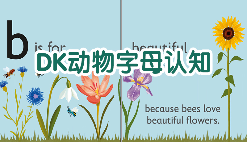 《DK动物字母认知》全26册启蒙英文绘本PDF