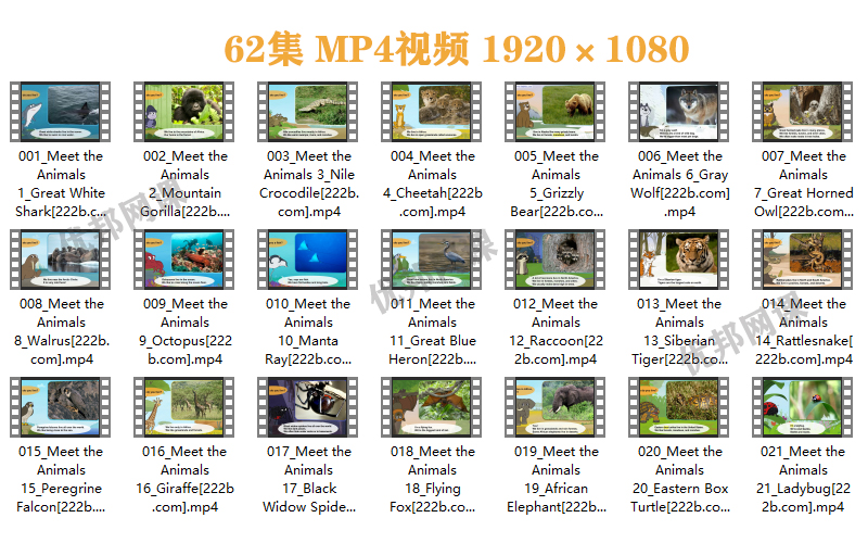 《Meet the Animals》全62集动画MP4+配套音频MP3+故事书PDF