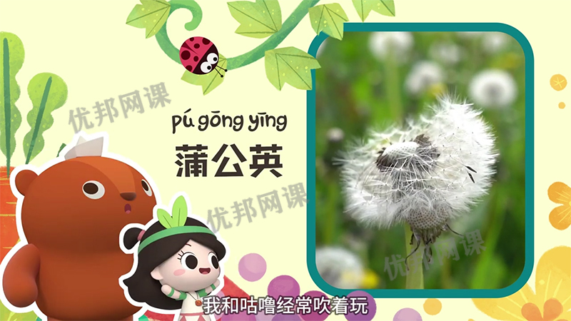 《幼儿科普知识视频64集》动物植物宇宙生活认知启蒙MP4