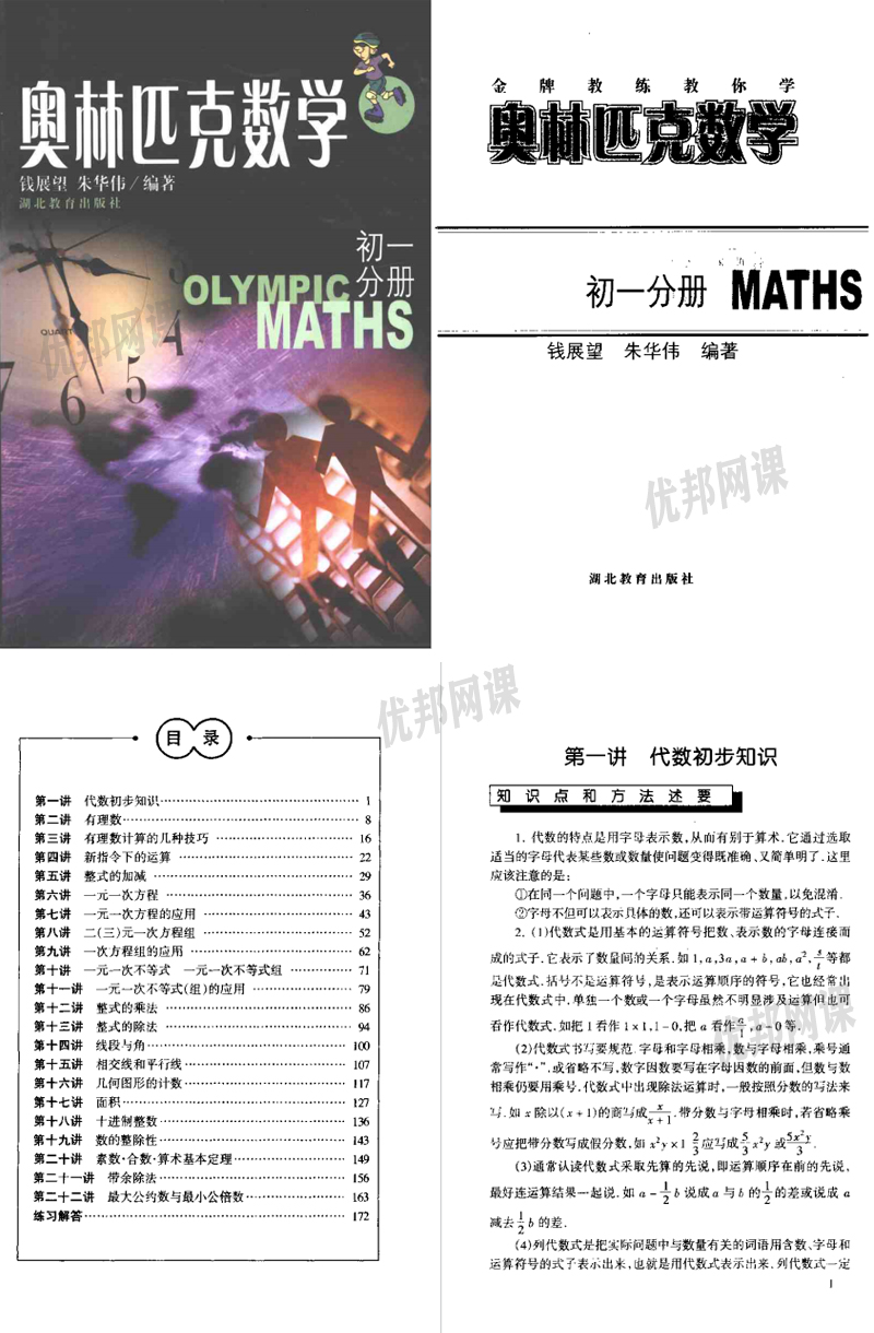 《小学初中高中数学奥数资料集》42册习题教材PDF