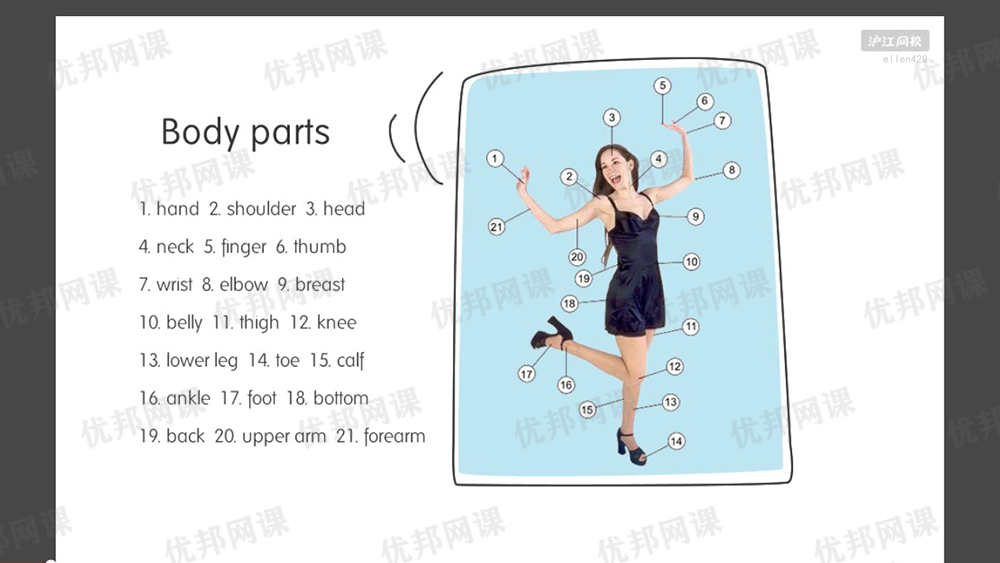 《零基础直达流利生活口语》 128集春季通关班视频课程