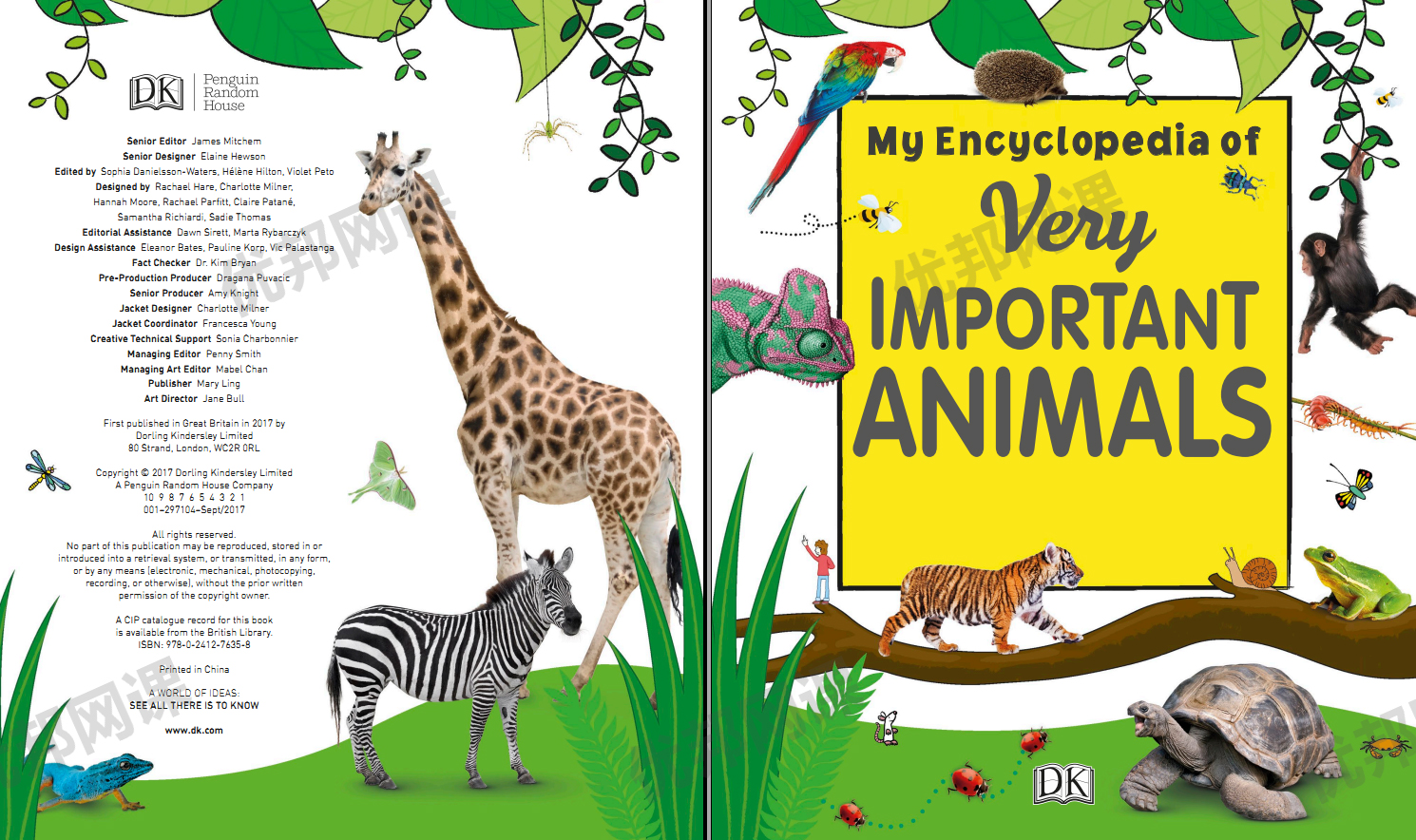 《My Encyclopedia》六册DK我的百科全书系列PDF