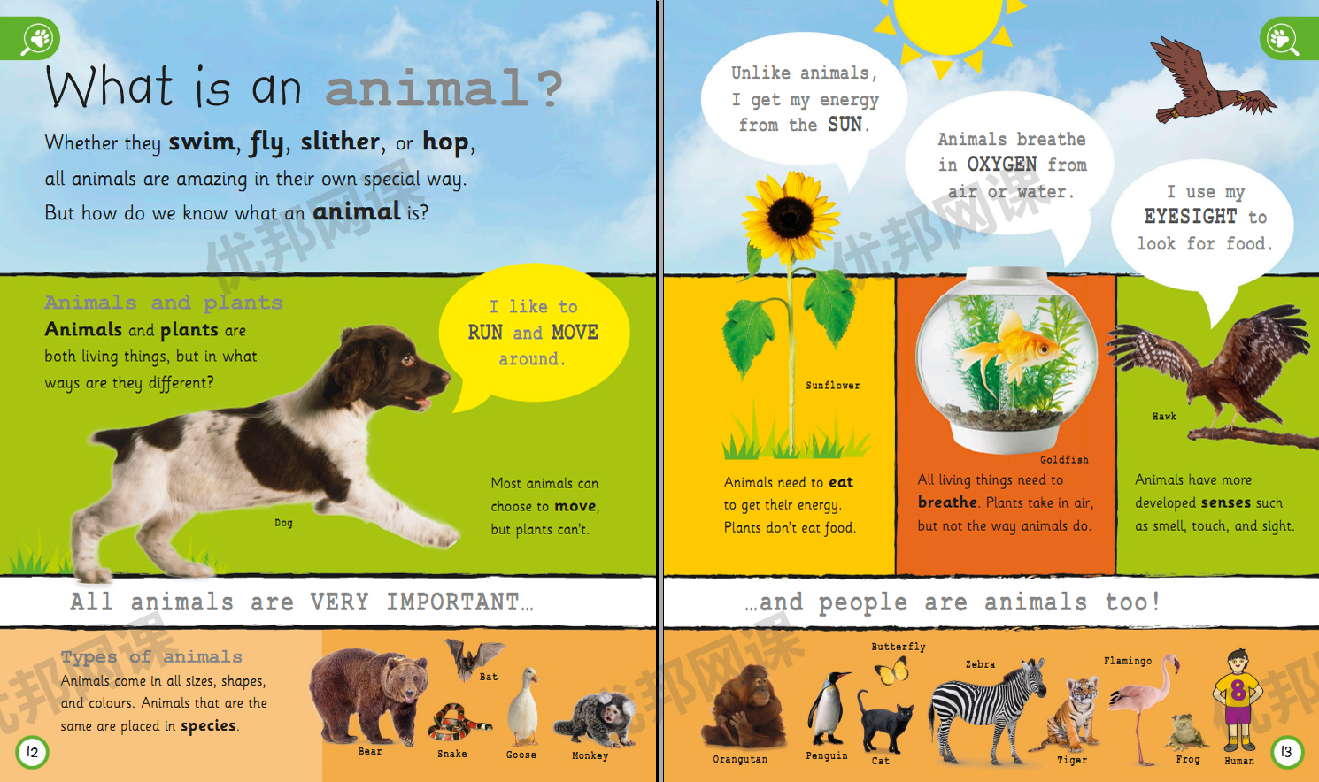 《My Encyclopedia》六册DK我的百科全书系列PDF