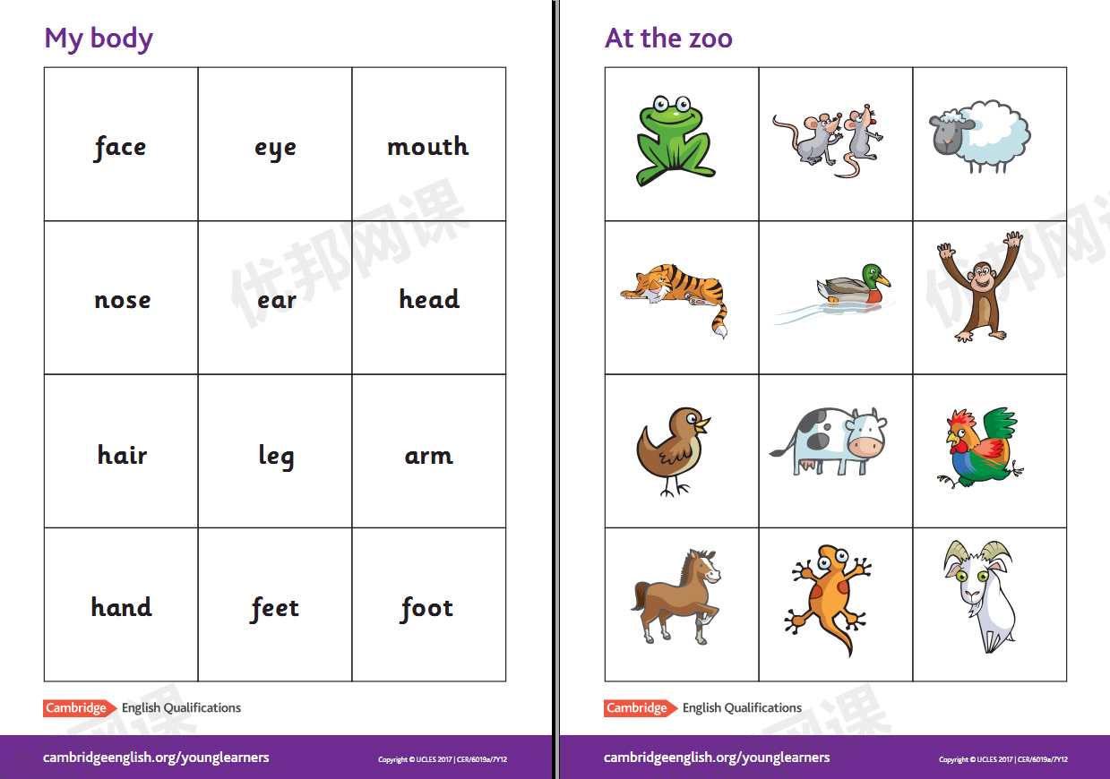 《young learner（YLE）》剑桥青少儿英语辅导书+闪卡PDF