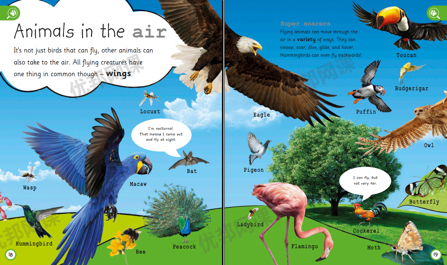 《My Encyclopedia》六册DK我的百科全书系列PDF