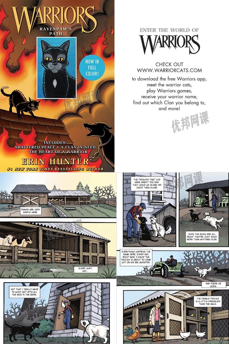 《Warriors Graphic Novel 猫武士》四册儿童漫画英文绘本PDF