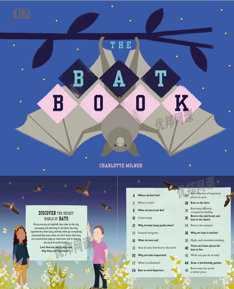 《The Bee/Bat/Sea/Rainforest Book》四册DK科普百科英文绘本