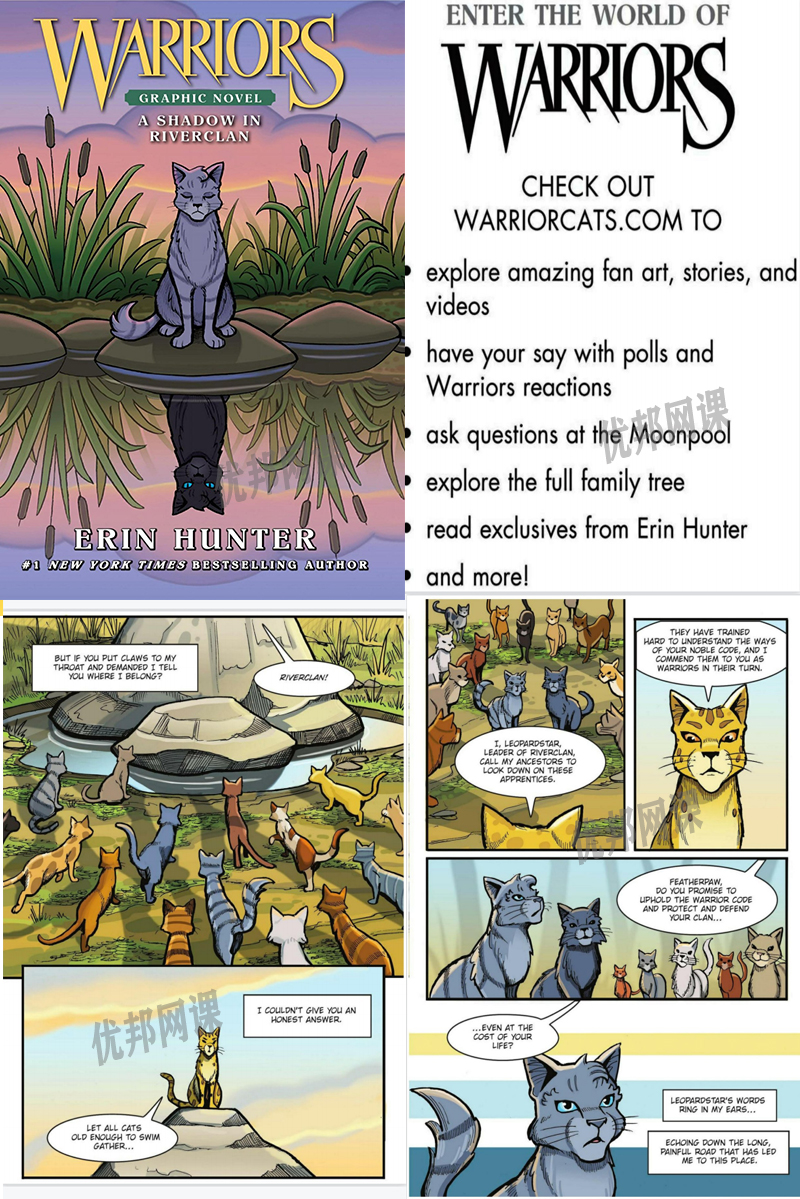 《Warriors Graphic Novel 猫武士》四册儿童漫画英文绘本PDF