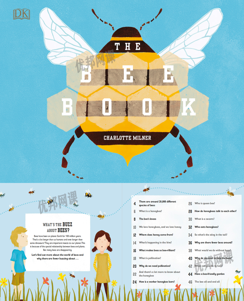 《The Bee/Bat/Sea/Rainforest Book》四册DK科普百科英文绘本