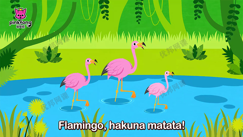 《碰碰狐pinkfong-鲨鱼宝宝系列》英文儿歌MP4动画视频