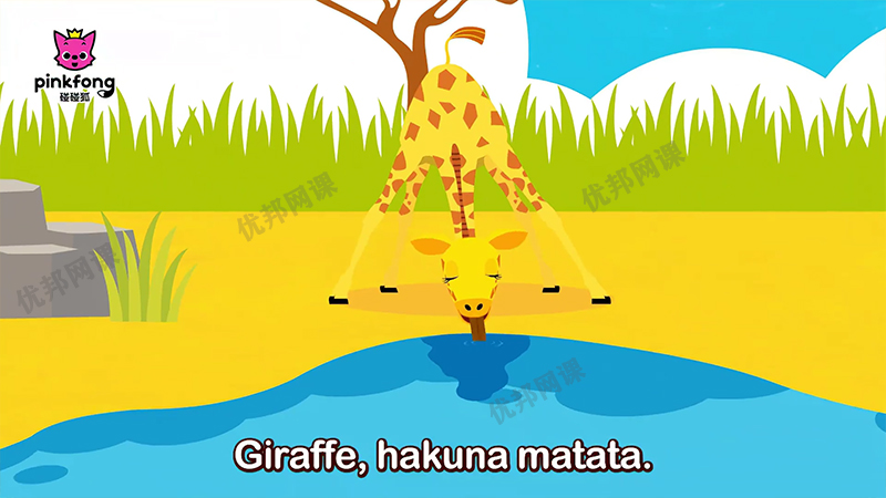 《碰碰狐pinkfong-鲨鱼宝宝系列》英文儿歌MP4动画视频