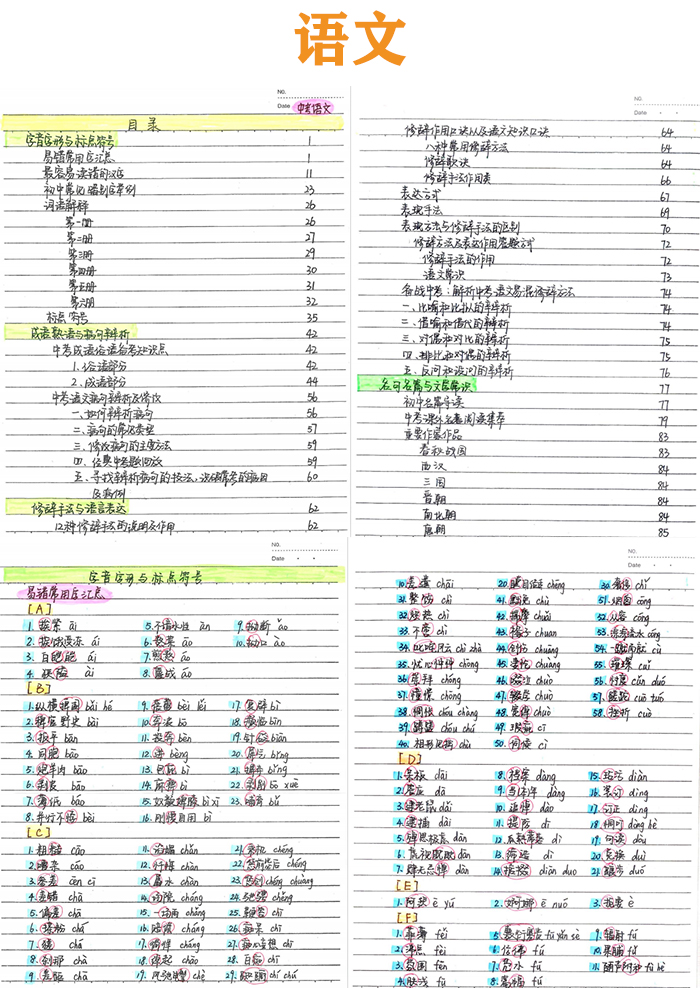 《初中中考全套学霸状元手写提分笔记》数学语文英语化学历史地理PDF