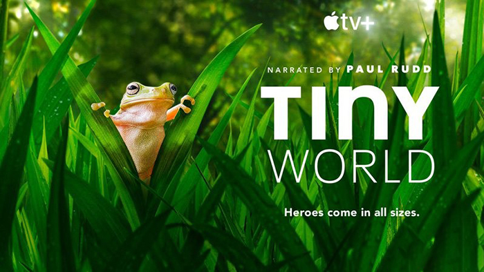 《Tiny World小小世界》第一季6集大自然科普纪录片