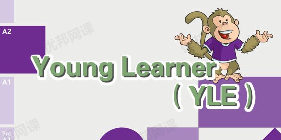 《young learner（YLE）》剑桥青少儿英语辅导书+闪卡PDF