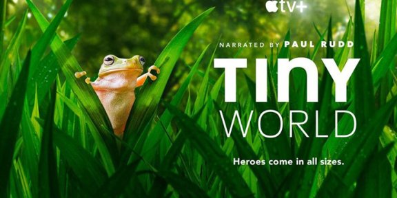 《Tiny World小小世界》第一季6集大自然科普纪录片