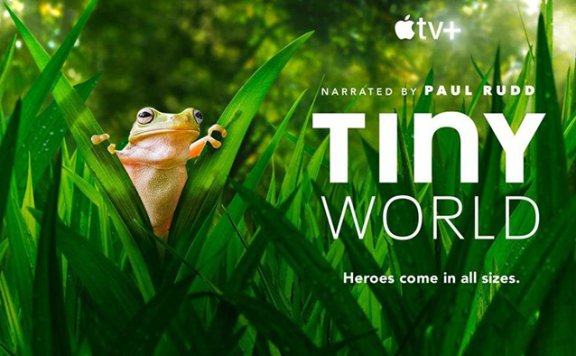 《Tiny World小小世界》第一季6集大自然科普纪录片